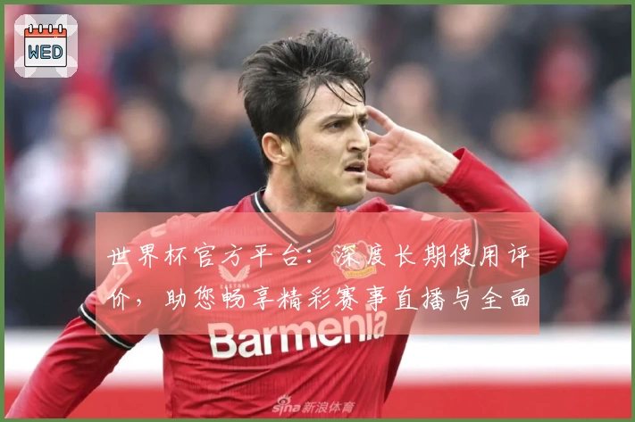 世界杯官方平台：深度长期使用评价，助您畅享精彩赛事直播与全面功能体验