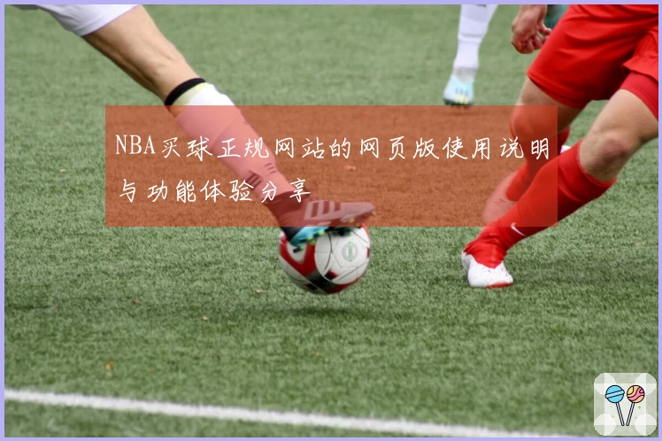 NBA买球正规网站的网页版使用说明与功能体验分享