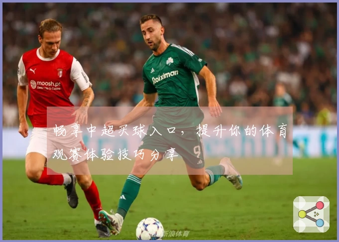 畅享中超买球入口，提升你的体育观赛体验技巧分享