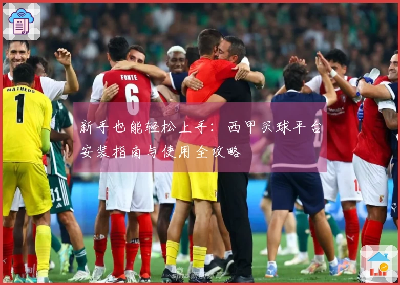新手也能轻松上手：西甲买球平台安装指南与使用全攻略