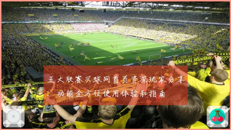 五大联赛买球网首页资深玩家分享：功能全方位使用体验和指南