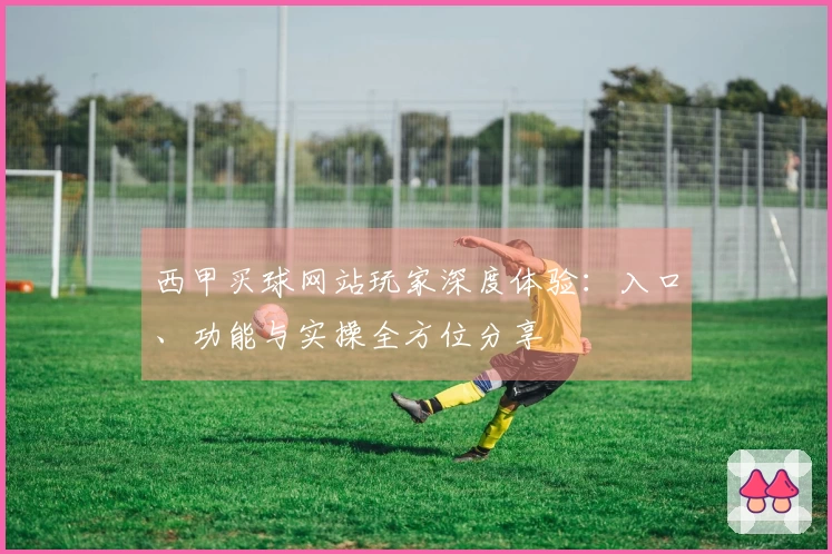 西甲买球网站玩家深度体验：入口、功能与实操全方位分享