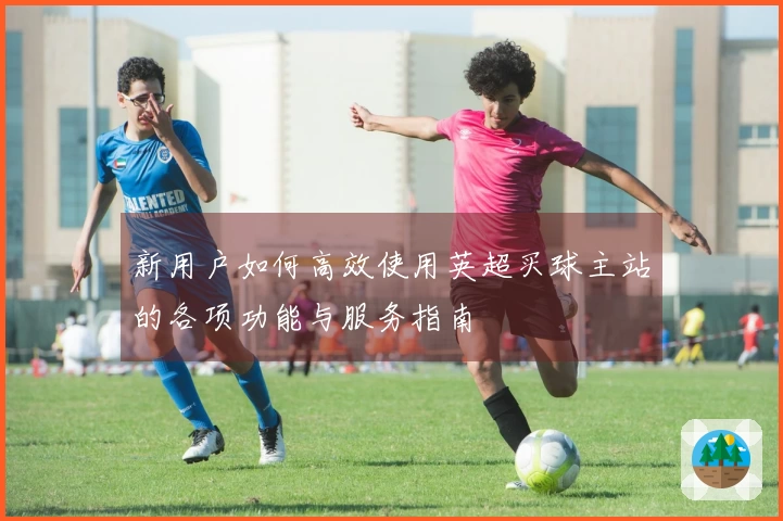 新用户如何高效使用英超买球主站的各项功能与服务指南